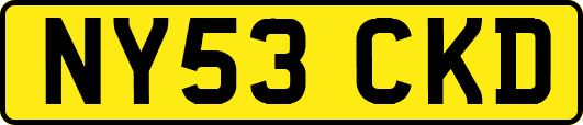 NY53CKD