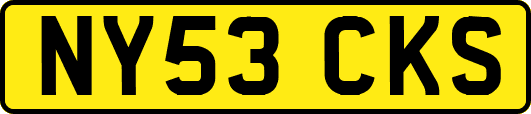 NY53CKS