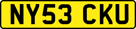 NY53CKU