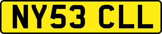 NY53CLL