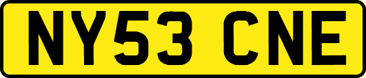 NY53CNE