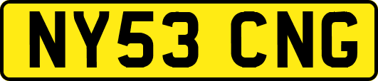 NY53CNG