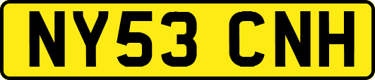 NY53CNH