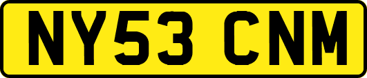 NY53CNM