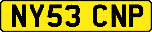 NY53CNP