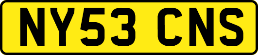 NY53CNS