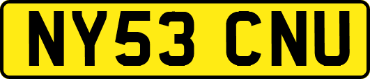 NY53CNU