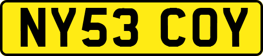 NY53COY