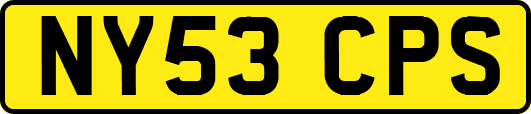 NY53CPS