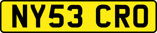 NY53CRO