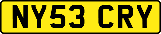 NY53CRY