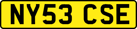 NY53CSE