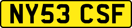 NY53CSF