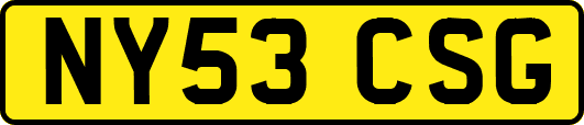 NY53CSG