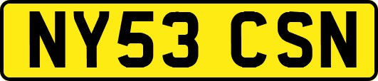 NY53CSN