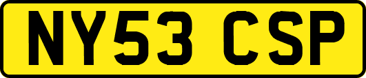 NY53CSP