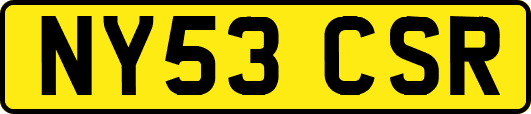 NY53CSR