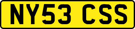 NY53CSS