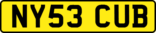 NY53CUB