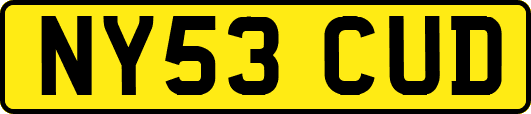 NY53CUD