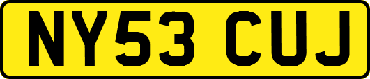 NY53CUJ
