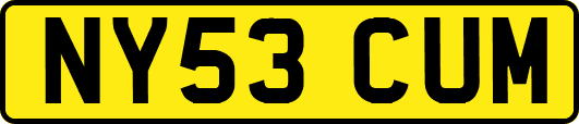 NY53CUM