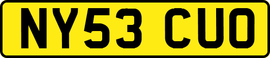 NY53CUO