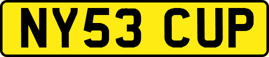 NY53CUP
