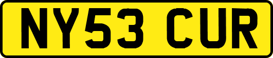 NY53CUR