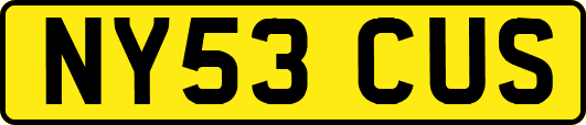 NY53CUS