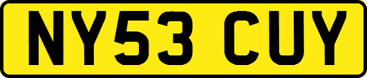 NY53CUY