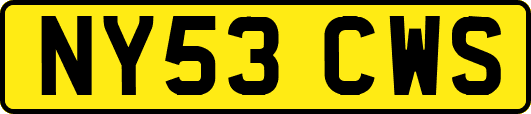 NY53CWS