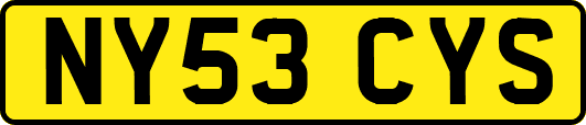 NY53CYS