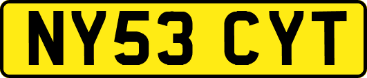 NY53CYT