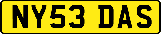 NY53DAS