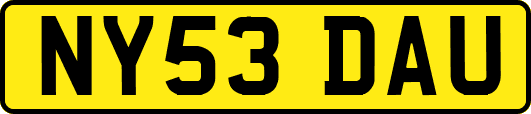 NY53DAU