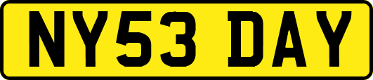 NY53DAY
