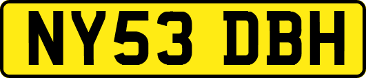 NY53DBH