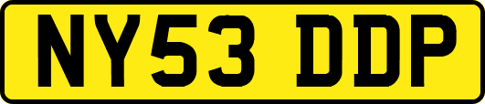 NY53DDP