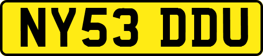 NY53DDU