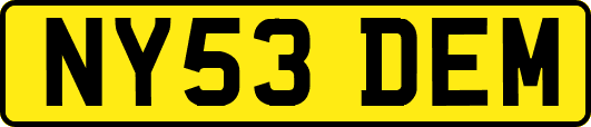 NY53DEM