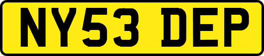 NY53DEP