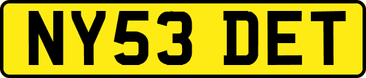 NY53DET