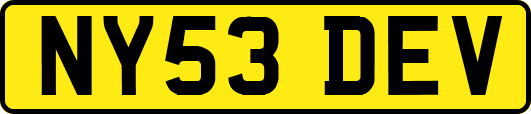 NY53DEV