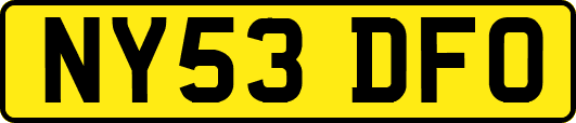 NY53DFO