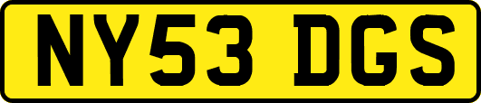 NY53DGS