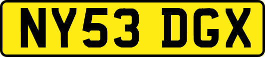 NY53DGX