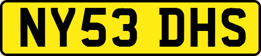 NY53DHS