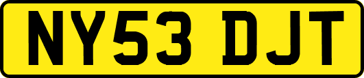 NY53DJT