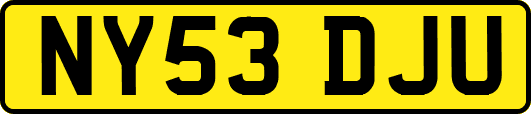 NY53DJU
